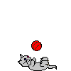 Katze mit ball