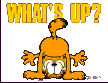 what´s up?