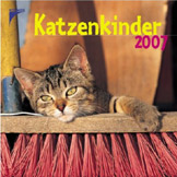 Katzenkinder 2007,