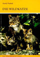 Die Wildkatze - Felis silvestris