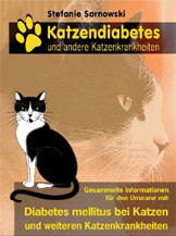 Katzendiabetes Diabetes mellitus bei Katzen