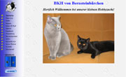 BKH von - Bernsteinbaerchen