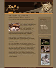 Burma-Cattery ZuMa