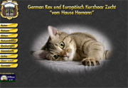 German Rex und Europäisch Kurzhaar Zucht "vom Hause Hamann"