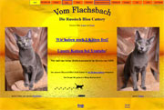 Russisch Blau Vom Flachsbach