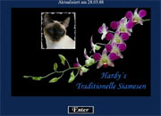 Hardy´s Traditionelle Siamesen