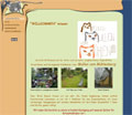 angora-perser-norwegischewald-katze