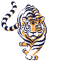 Tiger Gif