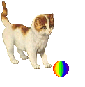 katze spielt ball gif