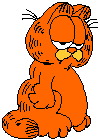 hugo cat