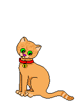 bellinda