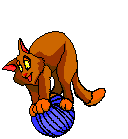 katzengif