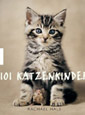 101 Katzenkinder