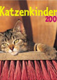 Katzenkinder 2007