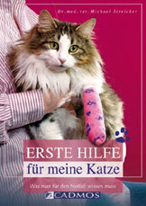 Erste Hilfe für meine Katze