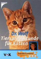 Tiersprechstunde für Katzen