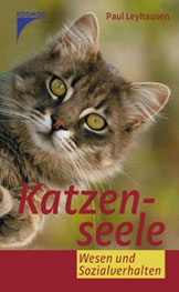 Katzenseele: Wesen und Sozialverhalten