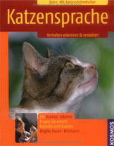 Katzensprache: Verhalten erkennen & verstehen