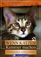 Wenn Katzen Kummer machen: Verhaltensprobleme verstehen und lösen