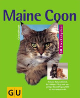 Maine Coon