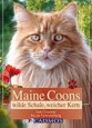 Maine Coon: wilde Schale, weicher Kern