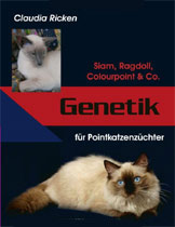 Genetik für Pointkatzenzüchter: Siam, Ragdoll, Colourpoint & Co