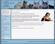 chartreux-mystere-bleu