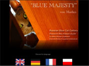 Blue Majesty Russisch Blau Katzenzucht