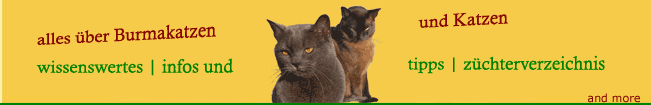 alles über Burmakatzen und Katzen | wissenswertes | infos | tipps | züchterverzeichnis ... and more