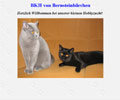 BKH von Bernsteinbärchen BKH von Bernsteinbärchen
